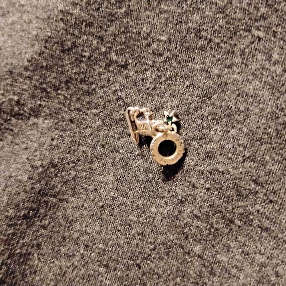 Pandora Charm